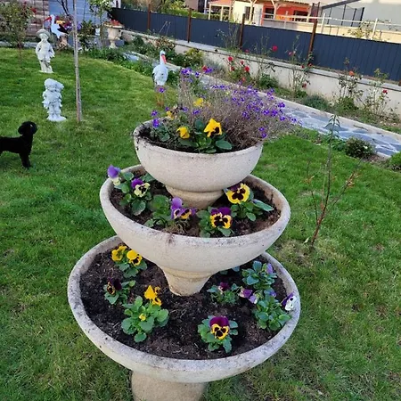 Entre Strasbourg Et Colmar - Proche D'europa Park Apartamento Sermersheim