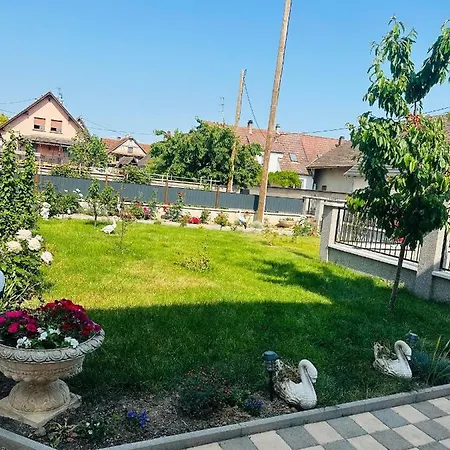 Appartement Entre Strasbourg Et Colmar - Proche D'europa Park *