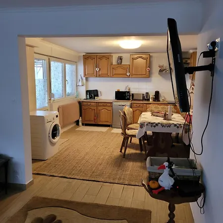 Apartment Entre Strasbourg Et Colmar - Proche D'europa Park Sermersheim