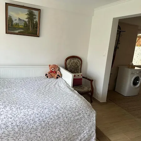 Apartament Entre Strasbourg Et Colmar - Proche D'europa Park