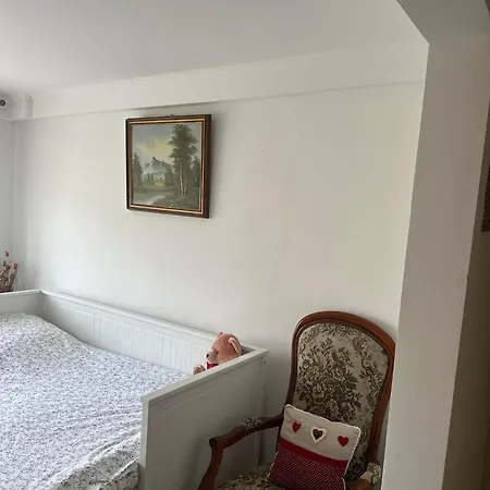 Entre Strasbourg Et Colmar - Proche D'europa Park *