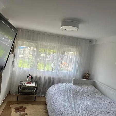 Apartment Entre Strasbourg Et Colmar - Proche D'europa Park *