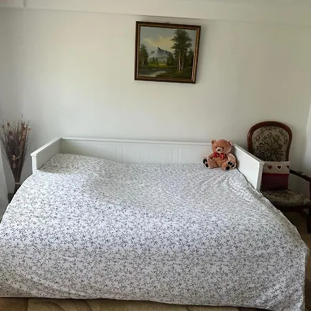 Entre Strasbourg Et Colmar - Proche D'europa Park * Sermersheim