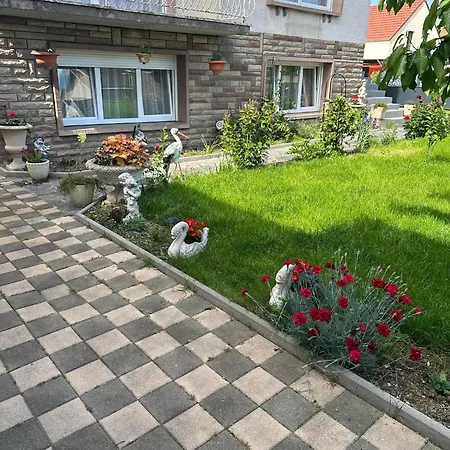 Entre Strasbourg Et Colmar - Proche D'europa Park Sermersheim