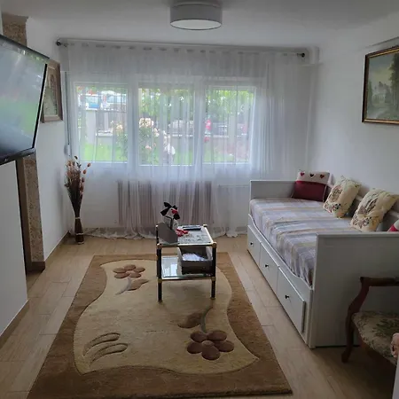 Apartment Entre Strasbourg Et Colmar - Proche D'europa Park *